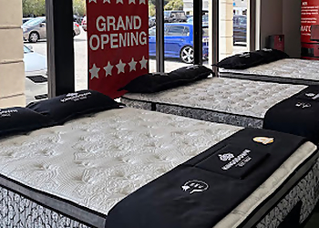 Mattress Warehouse of Tampa Carrollwood - Tampa, FL Mattress Stores - Mattress Interior