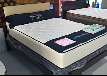 Warren Mattress Stores Mattress Wholesale