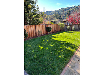 Oakland Lawn Care Services Matt's Mowing & Landscaping LLC