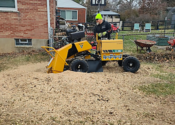 Cincinnati Tree Services Maxwell's Tree Service