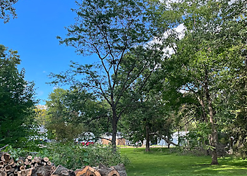 St Paul Tree Services McClellan Tree Service