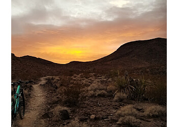 3 Best Hiking Trails in Henderson, NV - Expert Recommendations