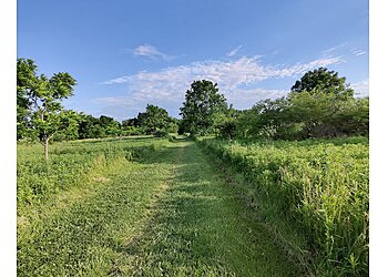 Naperville Hiking Trails McDowell Grove