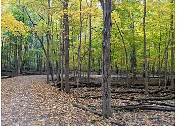 Naperville Hiking Trails McDowell Grove
