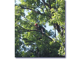 Philadelphia landscaping company McFarland Tree, Landscape & Hardscape Services