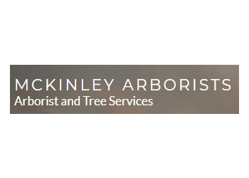 Glendale tree service McKinley & Associates
