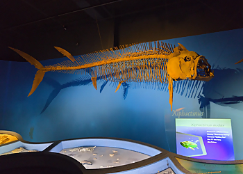 McWane Science Center - Birmingham, AL Places To See - Entertainment Image