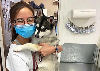 Meadow Brook Animal Hospital - McKinney, TX Veterinary Clinics - Doctor With Patient Image
