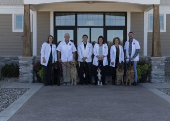 Meadowbrook Veterinary Clinic