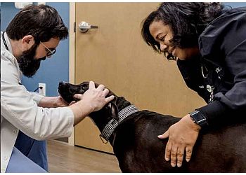 Salt Lake City Veterinary Clinics MedVet