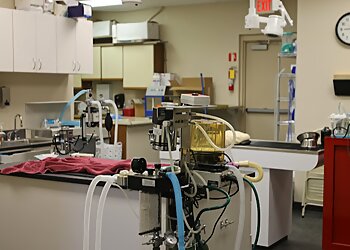 Dayton Veterinary Clinics MedVet Dayton