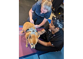 Dayton Veterinary Clinics MedVet Dayton