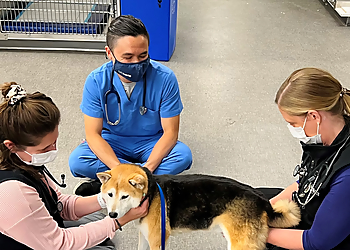 Mobile Veterinary Clinics MedVet Mobile