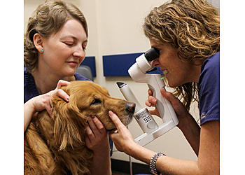 Mobile Veterinary Clinics MedVet Mobile