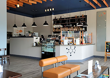 Jacksonville Pharmacies Medtown Pharmacy