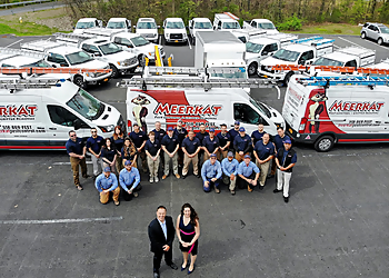 Albany Pest Control Companies Meerkat Pest Control