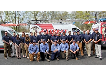 Pest Control Near Albany Ny | Pest Control