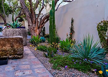 Mesa Landscaping Companies Meise Design Group