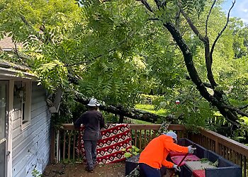 Greensboro Tree Services Mel Tree Service