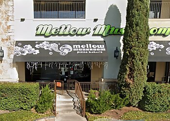 San Antonio Pizza Places Mellow Mushroom San Antonio