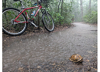 Memorial Park Conservancy  - Odessa, TX Hiking Trails - Adventure Image