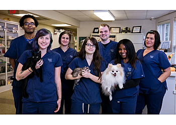 Memphis Animal Clinic - Memphis, TN Veterinary Clinics - Doctor With Patient Image