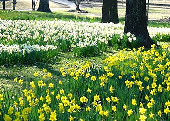 Memphis Places To See Memphis Botanic Garden
