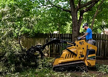 Memphis Tree Services Memphis Tree Services, LLC.