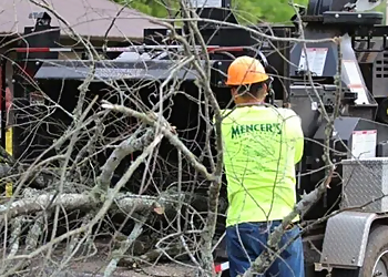 Knoxville Tree Services Mencer's Tree Service, LLC