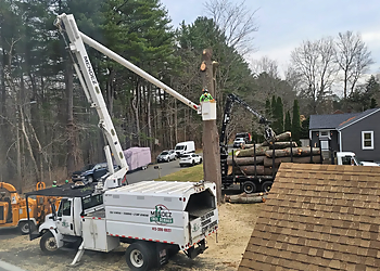 Mendez Tree Service LLC - Springfield, MA Tree Services - Service Vehicle Image