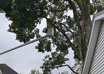 Mendez Tree Service LLC - Springfield, MA Tree Services - Service Image
