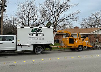 Fort Worth Tree Services Mercer Tree Service