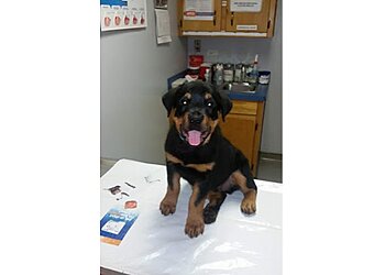 Hampton Veterinary Clinics Mercury Animal Hospital