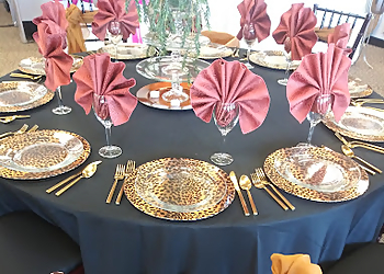 Toledo Event Rental Companies Meredith Party Rentals