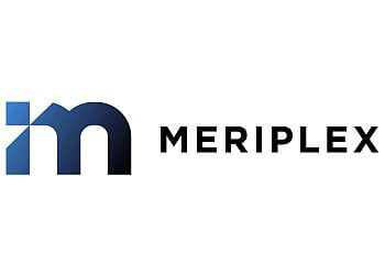 Meriplex Aurora It Services