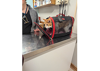 Pueblo Veterinary Clinics Mesa Veterinary Clinic