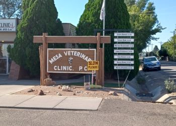 Mesa Veterinary Clinic Pueblo Veterinary Clinics