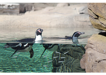 Evansville Places To See Mesker Park Zoo and Botanic Garden