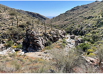Surprise Hiking Trails Mesquite Canyon Trail
