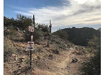 Mesquite Canyon Trail Surprise Hiking Trails image 1