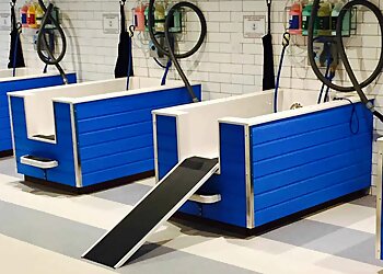 Fort Worth Pet Grooming Metro Animals