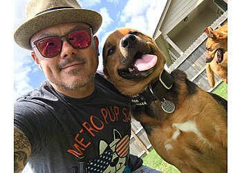 Metro Pup SA Dog Walking & Pet Sitting San Antonio Dog Walkers image 1