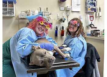 Akron Veterinary Clinics Metropolitan Veterinary Hospital