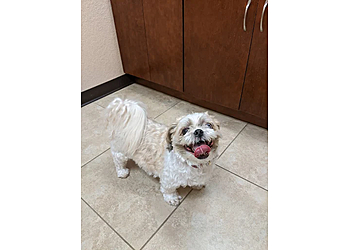 Metzler Veterinary Hospital - Clearwater, FL Veterinary Clinics - Healthcare Moments