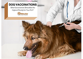 Metzler Veterinary Hospital - Clearwater, FL Veterinary Clinics - Service Highlights