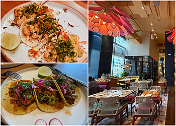 Meximodo Jersey City - Jersey City, NJ Mexican Restaurants - collage image(highlights)