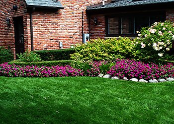 Mi Jalisco Landscaping Richmond Landscaping Companies image 1
