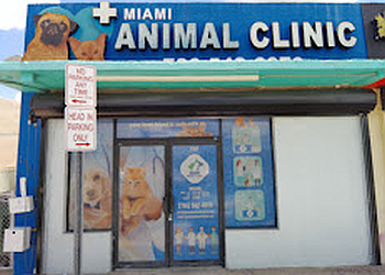 Miami Animal Clinic Miami Veterinary Clinics