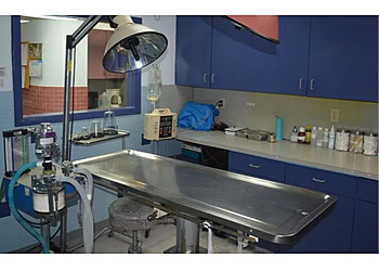 Miami Lakes Veterinary Clinic - Miami Gardens, FL Veterinary Clinics - Medical Equipment Image