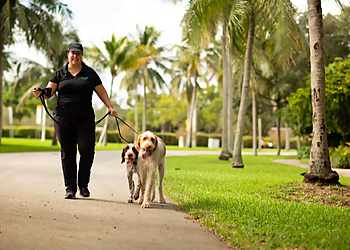 Miami Pet Concierge Miami Pet Concierge - Miami, FL Dog Walkers - Work Image